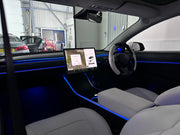 Tesla Model 3 & Model Y